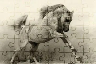 running horse