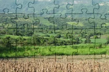 campos de Naolinco