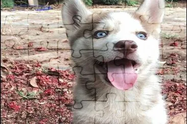 :) â™¥