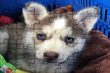 â™¥