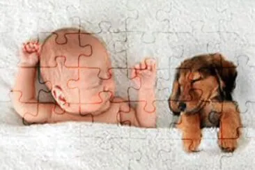 sleeping-baby-puppy