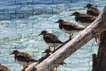 VigÃ­as jigsaw puzzle