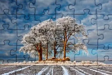 NATUREZA jigsaw puzzle