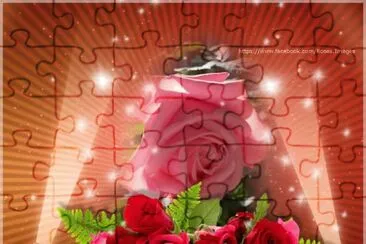 imagens
