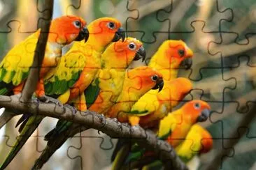 pe 1 jigsaw puzzle