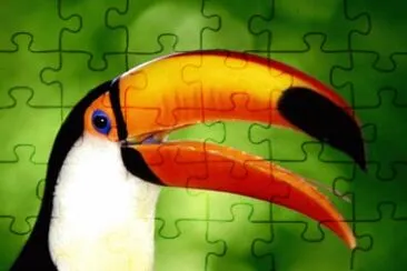 2can jigsaw puzzle
