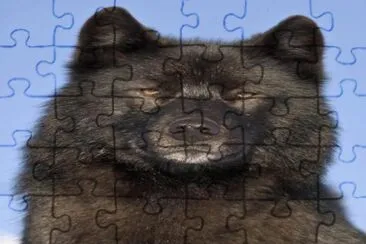 5a jigsaw puzzle
