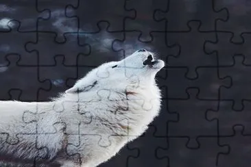 8a jigsaw puzzle