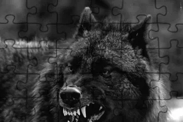 10a jigsaw puzzle