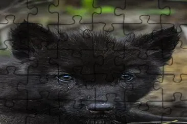 12a jigsaw puzzle