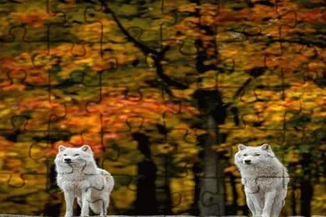 13a jigsaw puzzle