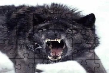 14a jigsaw puzzle