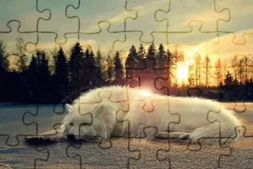 17a jigsaw puzzle