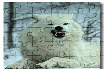 23a jigsaw puzzle