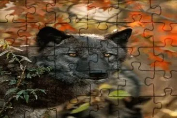 25a jigsaw puzzle