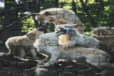 29a jigsaw puzzle