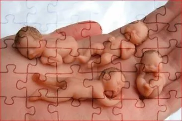 BEBÃ‰S DE AZUCAR jigsaw puzzle