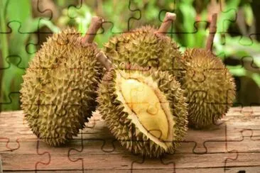 durian jigsaw puzzle