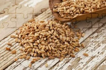 farro jigsaw puzzle