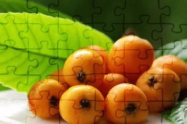 nespola jigsaw puzzle