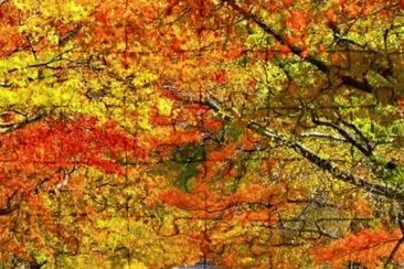 imagens jigsaw puzzle