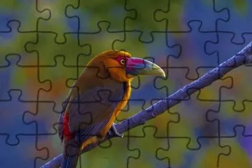 פאזל של BID1