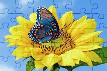 Mariposa-Flor.
