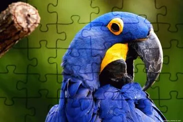 bm1 jigsaw puzzle