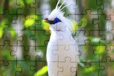 wb1 jigsaw puzzle