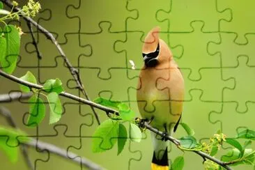 gb1 jigsaw puzzle