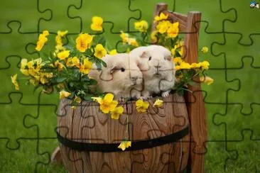 abib21 jigsaw puzzle