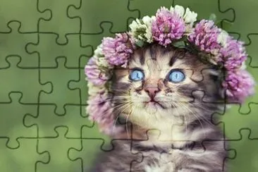 akwfih1 jigsaw puzzle