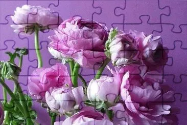 imagens jigsaw puzzle