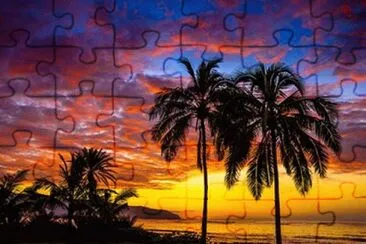 å¤å¨å¤· jigsaw puzzle
