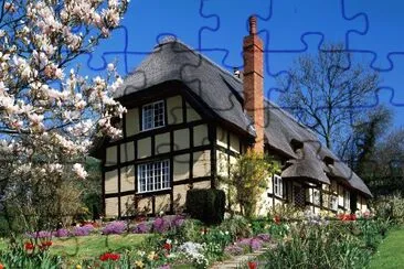 æ­æ´²8 jigsaw puzzle