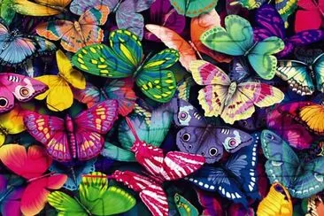 Borboletas jigsaw puzzle