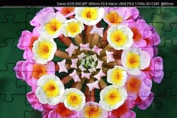 èŠ±2