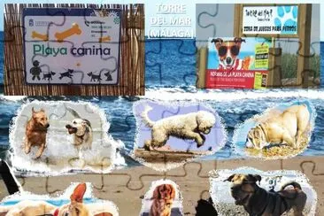 TORRE DEL MAR (MÃLAGA) - PLAYA CANINA