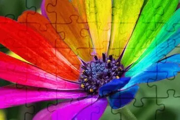 Color jigsaw puzzle