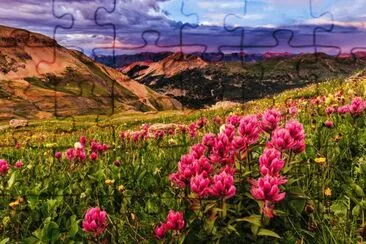 adr27 jigsaw puzzle