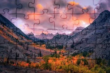24 jigsaw puzzle