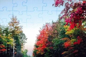 22 jigsaw puzzle