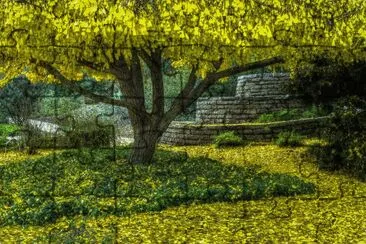 19 jigsaw puzzle