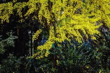 17 jigsaw puzzle