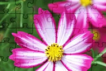 èŠ±5 jigsaw puzzle