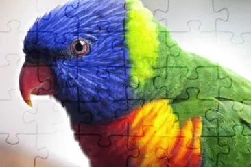 LORO ARCOIRIS jigsaw puzzle