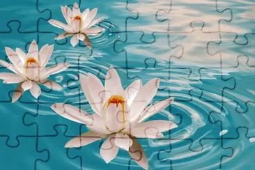flores de agua