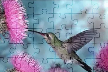 pajarito y flor