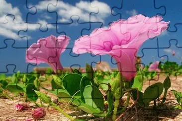 imagens jigsaw puzzle