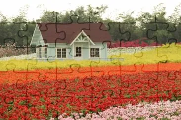 NATUREZA jigsaw puzzle
